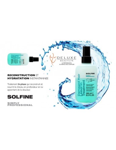 Damaged Hair Leave-in 250 ml sans rinçage Instantanée cheveux secs et abîmés