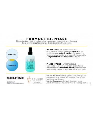 Damaged Hair Leave-in 250 ml sans rinçage Instantanée cheveux secs et abîmés