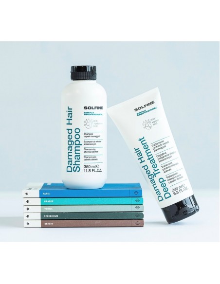 SHAMPOING TAKE CARE Cheveux Secs et abîmés sans SLS SLES