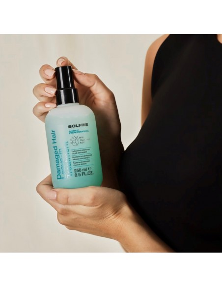 Damaged Hair Leave-in 250 ml without rinsing Instant dry and damaged hair