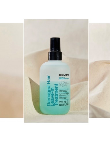 Damaged Hair Leave-in 250 ml sans rinçage Instantanée cheveux secs et abîmés