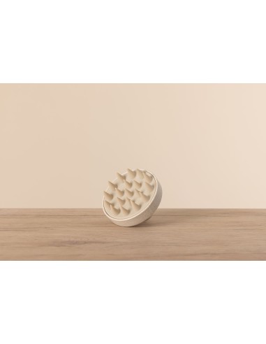 MASSAGE CUIR CHEVELU ACTYVA