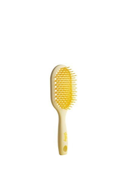 SILKY BROSSE GOUTE DE CITRON
