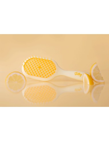 copy of SILKY BROSSE Framboise pour cheveux bouclés