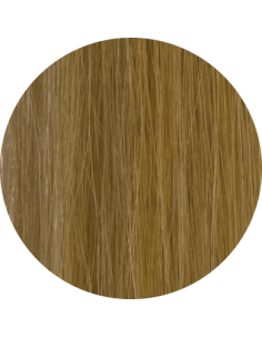 Fibres densifiantes GORDON pour clairsemés et calvitie Cheveux Blond Foncé 2