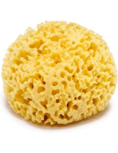 ÉPONGES NATURELLES ACTYVA