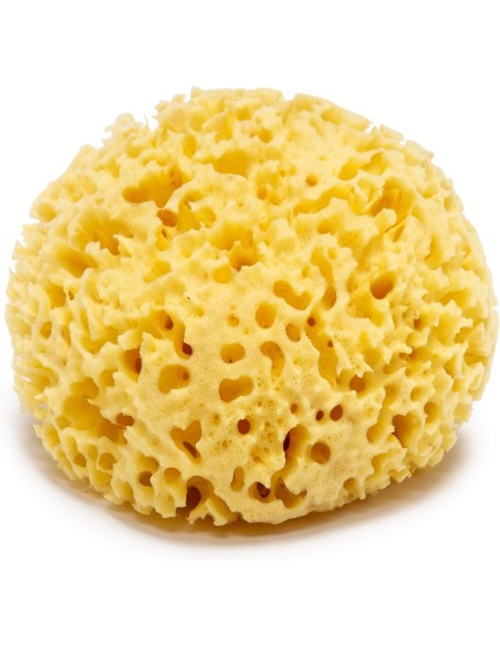 ÉPONGES NATURELLES ACTYVA